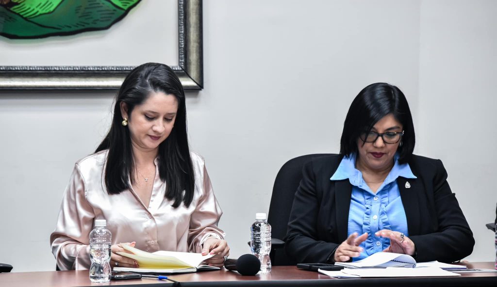 Denuncian violencia de género en el Congreso Nacional de Honduras