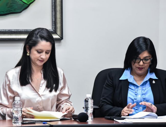 Denuncian violencia de género en el Congreso Nacional de Honduras