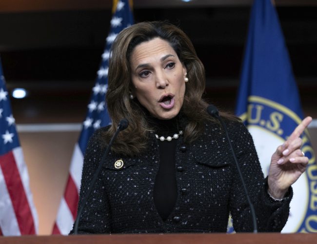 EE. UU.: Congresista pide vigilancia internacional en elecciones de Honduras