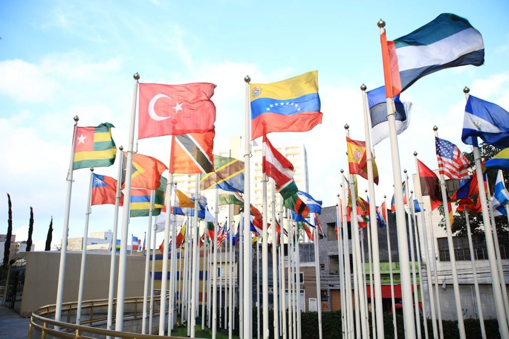 Instituciones más efectivas para combatir la corrupción en el mundo