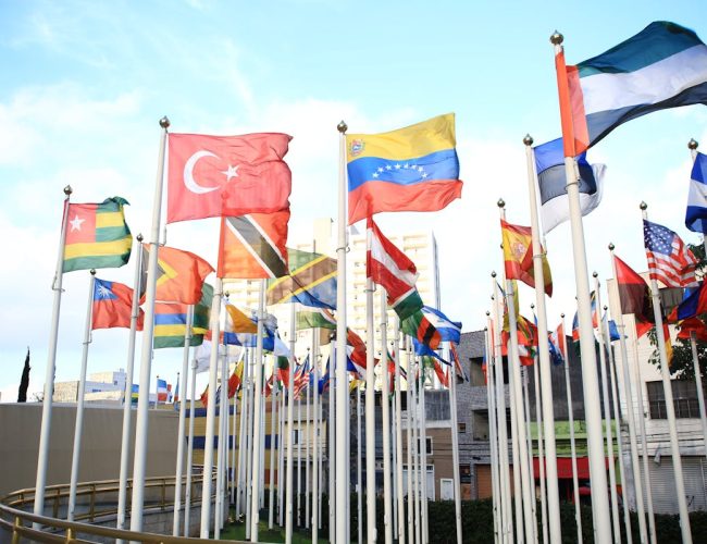 Instituciones más efectivas para combatir la corrupción en el mundo